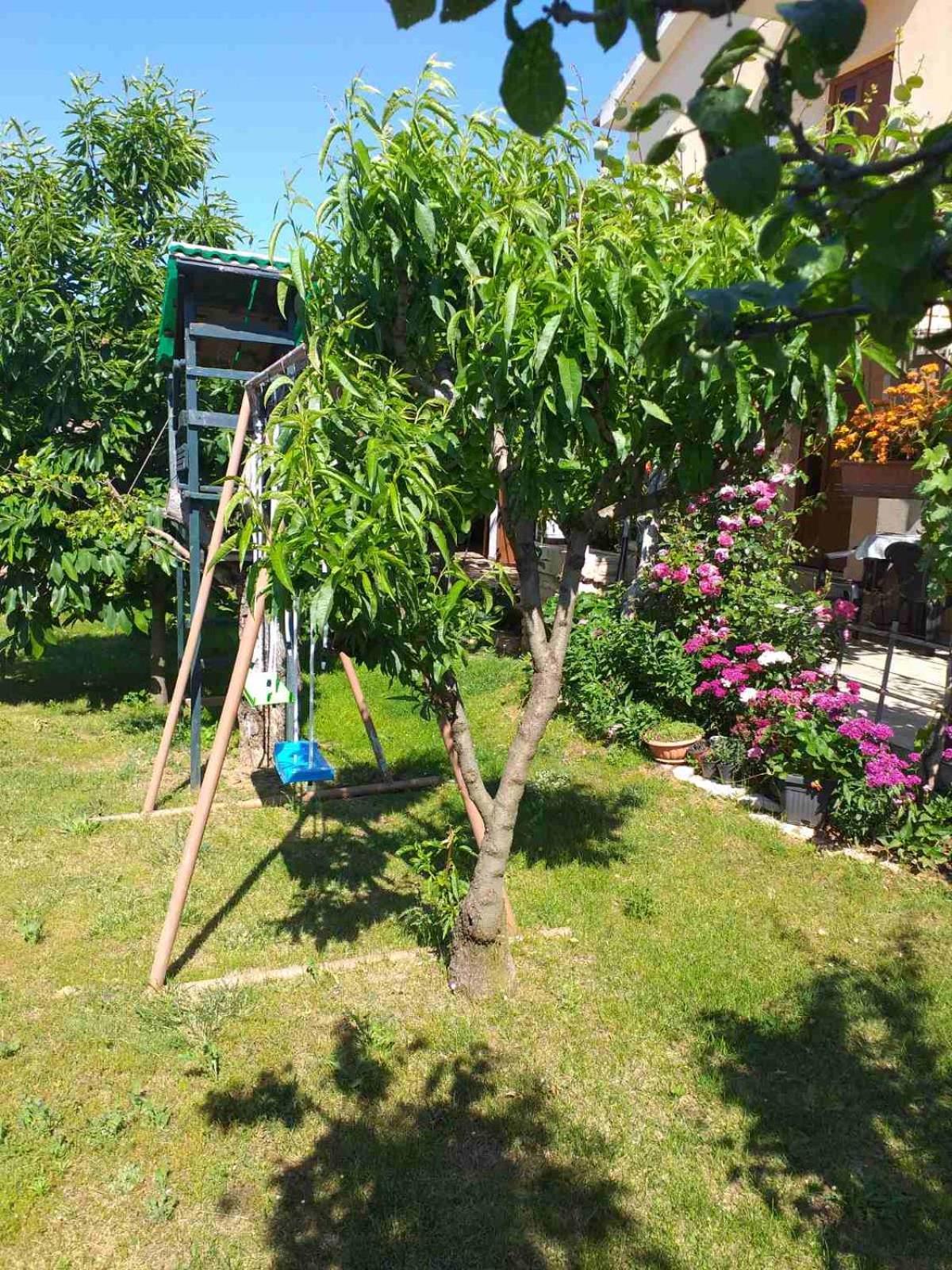 Lori Lägenhet Pula Exteriör bild
